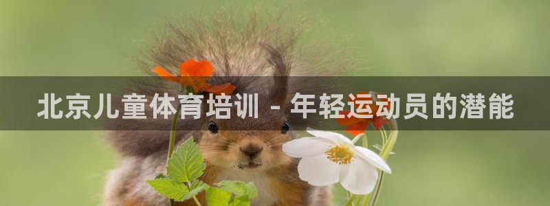 欧陆娱乐百科大全：北京儿童体育培训 - 年轻运动员的