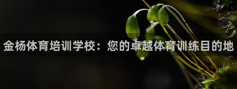 欧陆娱乐能不能玩：金杨体育培训学校：您的卓越体育训练