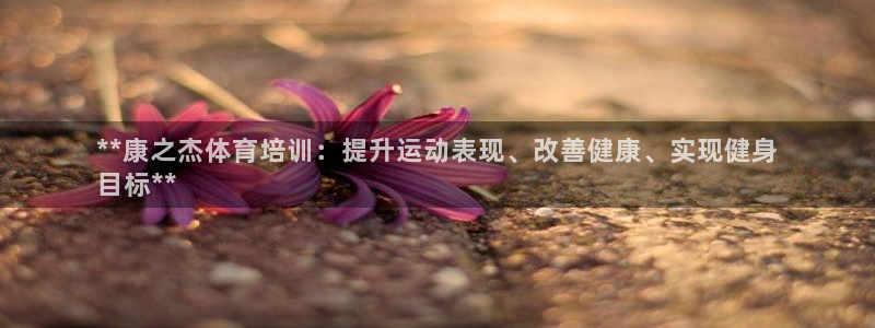 欧陆娱乐官网入口下载：**康之杰体育培训：提升运动表