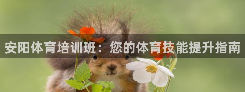 欧陆娱乐登陆官网：安阳体育培训班：您的体育技能提升指