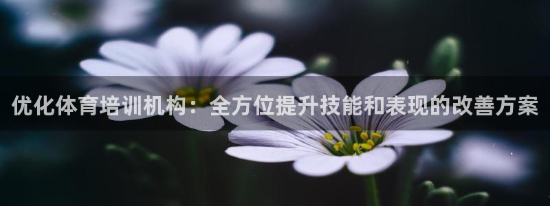 欧陆娱乐客服服务电话：优化体育培训机构：全方位提升技