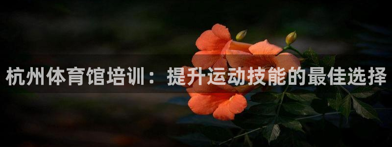 欧陆娱乐官网注册中心：杭州体育馆培训：提升运动技能的