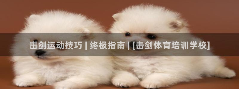 欧陆娱乐官网网址是多少：击剑运动技巧 | 终极指南 