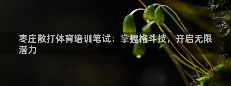 欧陆娱乐测速网站：枣庄散打体育培训笔试：掌握格斗技，
