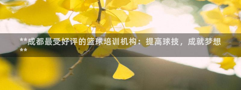 欧陆娱乐登录测速网站：**成都最受好评的篮球培训机构