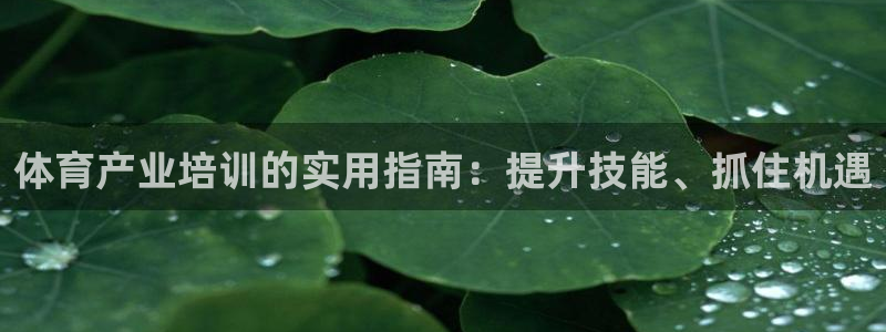 欧陆娱乐官网下载安装最新版：体育产业培训的实用指南：