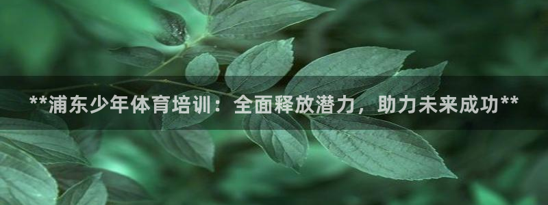 欧陆娱乐公司产品介绍怎么写：**浦东少年体育培训：全