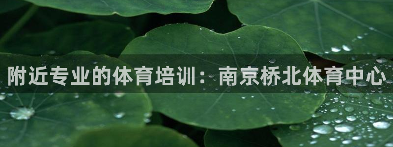 欧陆娱乐欧陆主管：附近专业的体育培训：南京桥北体育中