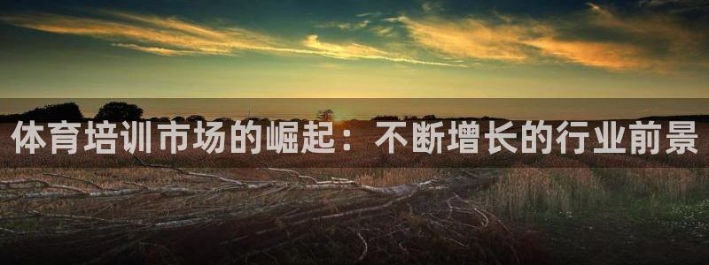 欧陆娱乐百科：体育培训市场的崛起：不断增长的行业前景