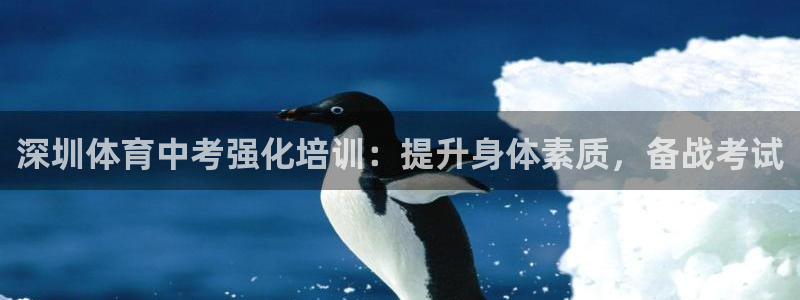 欧陆娱乐突然登录不了了：深圳体育中考强化培训：提升身体素质，