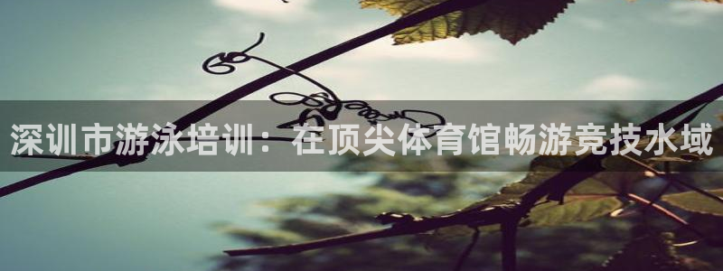 欧陆娱乐客服：深训市游泳培训：在顶尖体育馆畅游竞技水