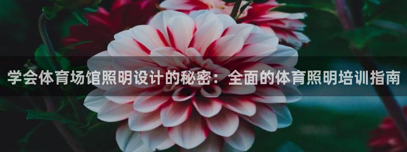 欧陆娱乐登录官网网址：学会体育场馆照明设计的秘密：全