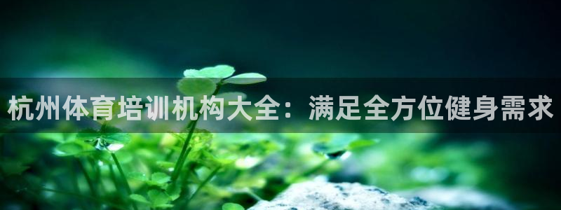 欧陆娱乐打什么方案：杭州体育培训机构大全：满足全方位健身需求
