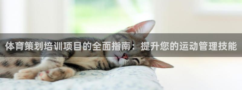 欧陆平台：体育策划培训项目的全面指南：提升您的运动管理技能