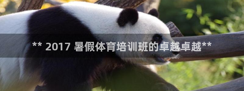 欧陆娱乐官方网站入口：** 2017 暑假体育培训班的卓越卓