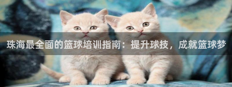 欧陆娱乐挂机怎么玩的：珠海最全面的篮球培训指南：提升球技，成