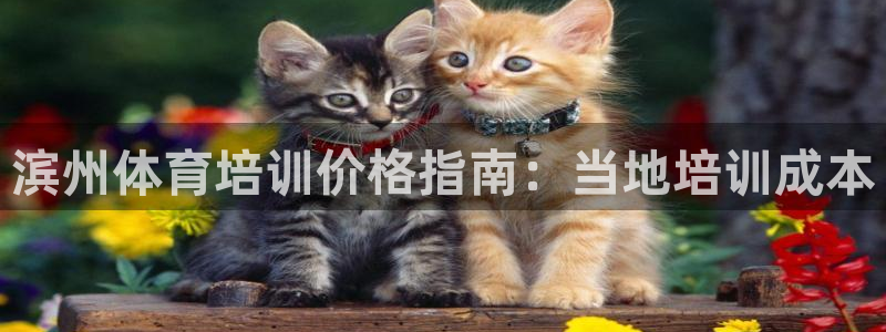 欧陆娱乐官方网站首页：滨州体育培训价格指南：当地培训成本