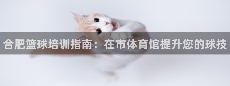 欧陆娱乐提现两百万：合肥篮球培训指南：在市体育馆提升