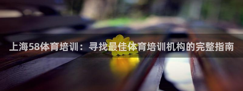 欧陆娱乐登录平台下载：上海58体育培训：寻找最佳体育