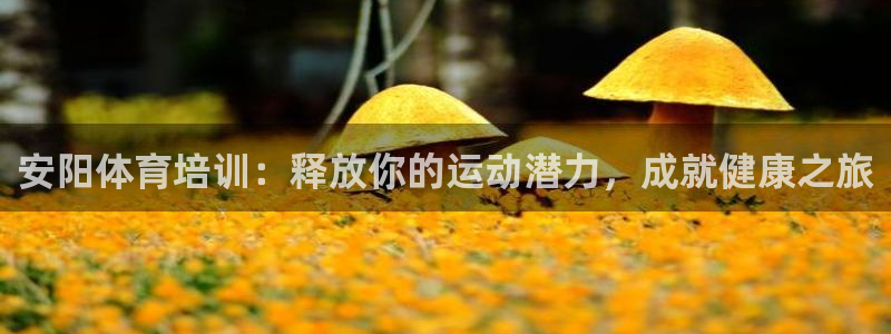欧陆娱乐官网首页：安阳体育培训：释放你的运动潜力，成