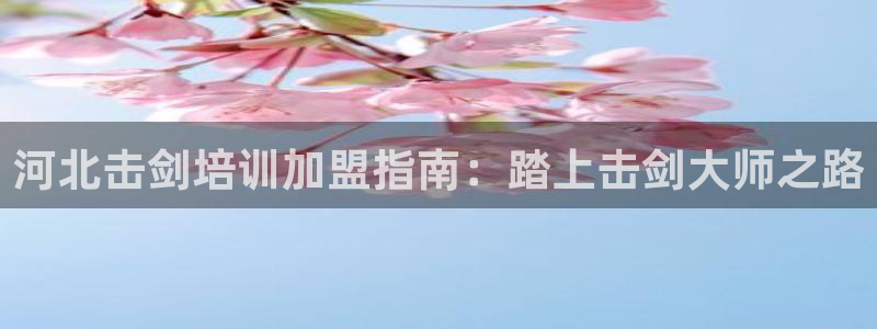 欧陆娱乐app攻略大全：河北击剑培训加盟指南：踏上击