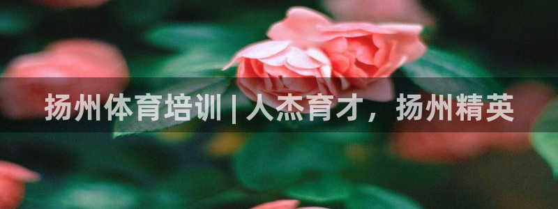 重庆欧陆娱乐有限公司：扬州体育培训 | 人杰育才，扬