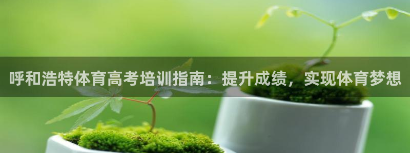欧陆娱乐平台登录不上去了：呼和浩特体育高考培训指南：
