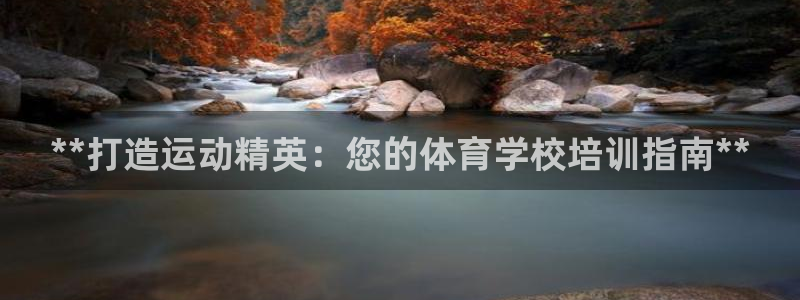 欧陆娱乐有限公司怎么样：**打造运动精英：您的体育学
