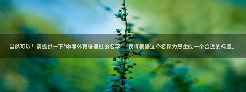 欧陆娱乐代理多少个点位合适