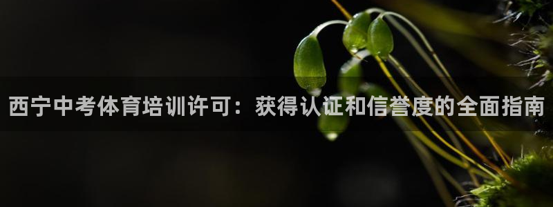 欧陆娱乐里面怎么看打排五：西宁中考体育培训许可：获得认证和信