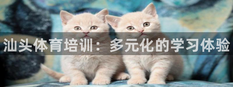 欧陆娱乐群里怎么进