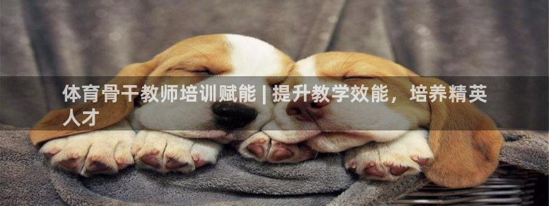 欧陆娱乐计划预测软件有哪些