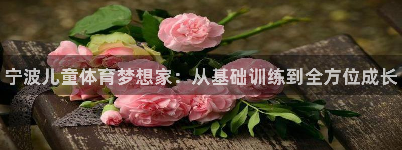 欧陆游戏平台：宁波儿童体育梦想家：从基础训练到全方位