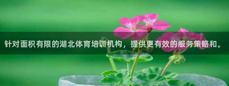 欧陆娱乐平台登陆地址：针对面积有限的湖北体育培训机构，提供更