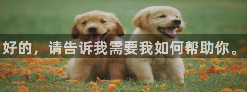 欧陆公司在哪里：好的，请告诉我需要我如何帮助你。