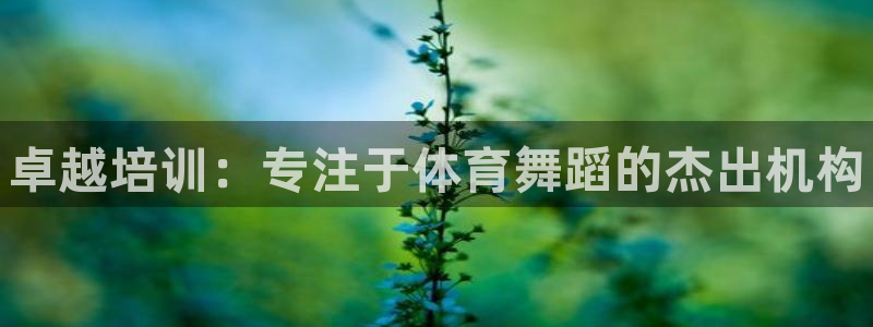 欧陆娱乐怎么注册会员账号：卓越培训：专注于体育舞蹈的