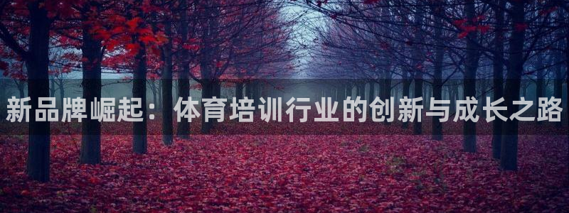 欧陆娱乐群里怎么进：新品牌崛起：体育培训行业的创新与
